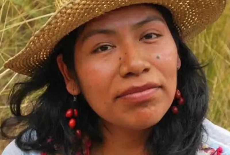 México: ¿Quién es y por qué está desaparecida Irma Galindo?