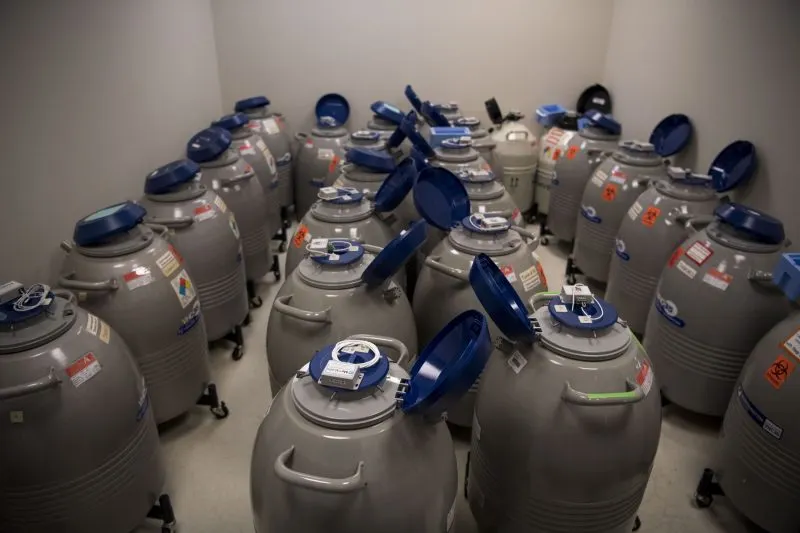 La FIV y otros programas de fertilidad pueden tener una cara más oscura y menos feliz