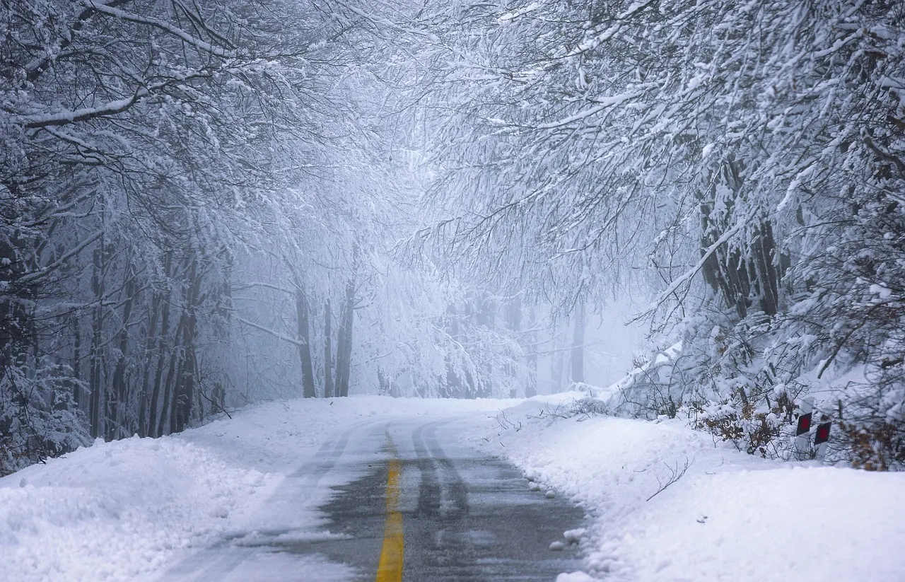 Washington DC vive la antesala de una gran tormenta invernal