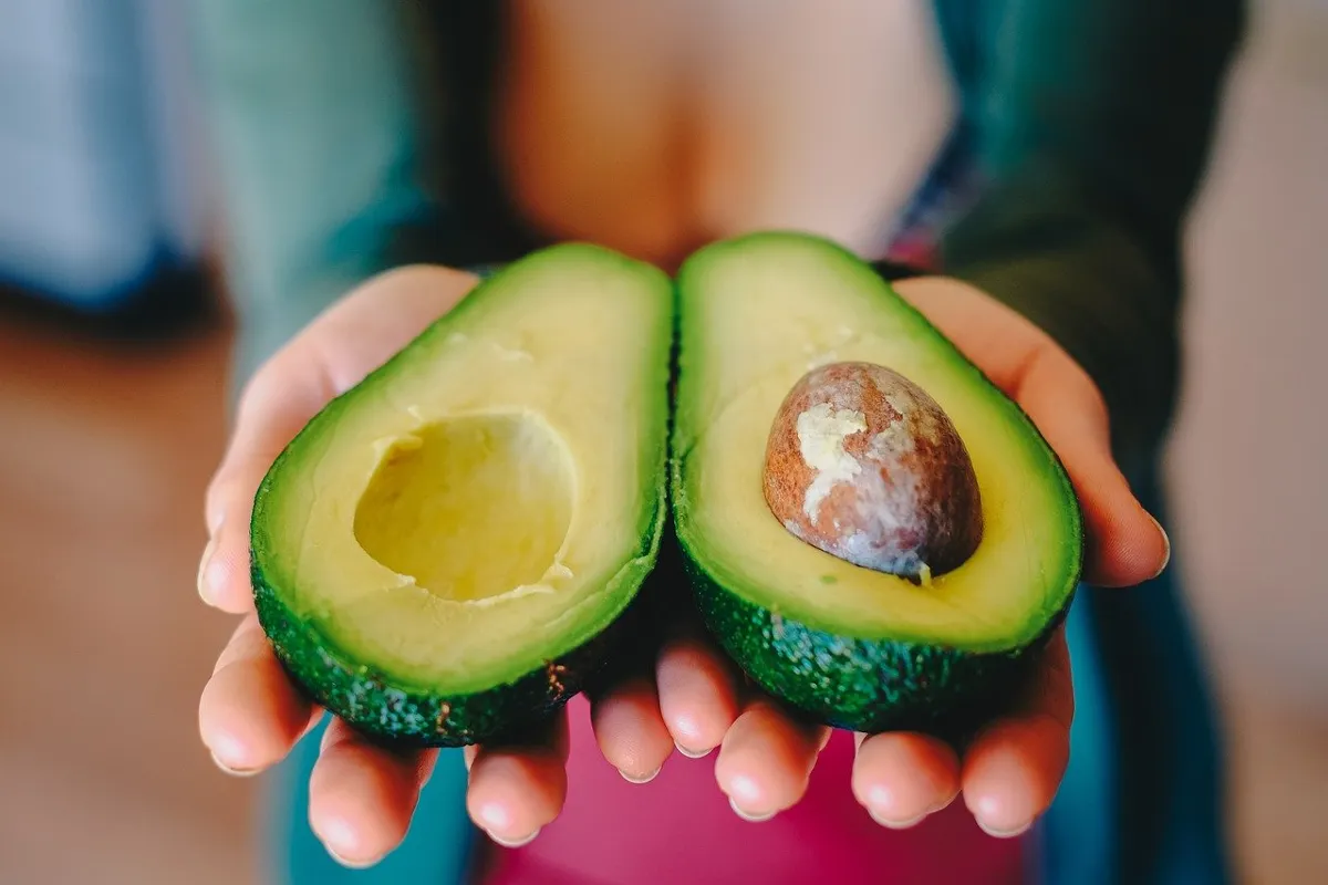 ¡Vuelven los aguacates! Ken Salazar, embajador de EEUU en México, lo confirma