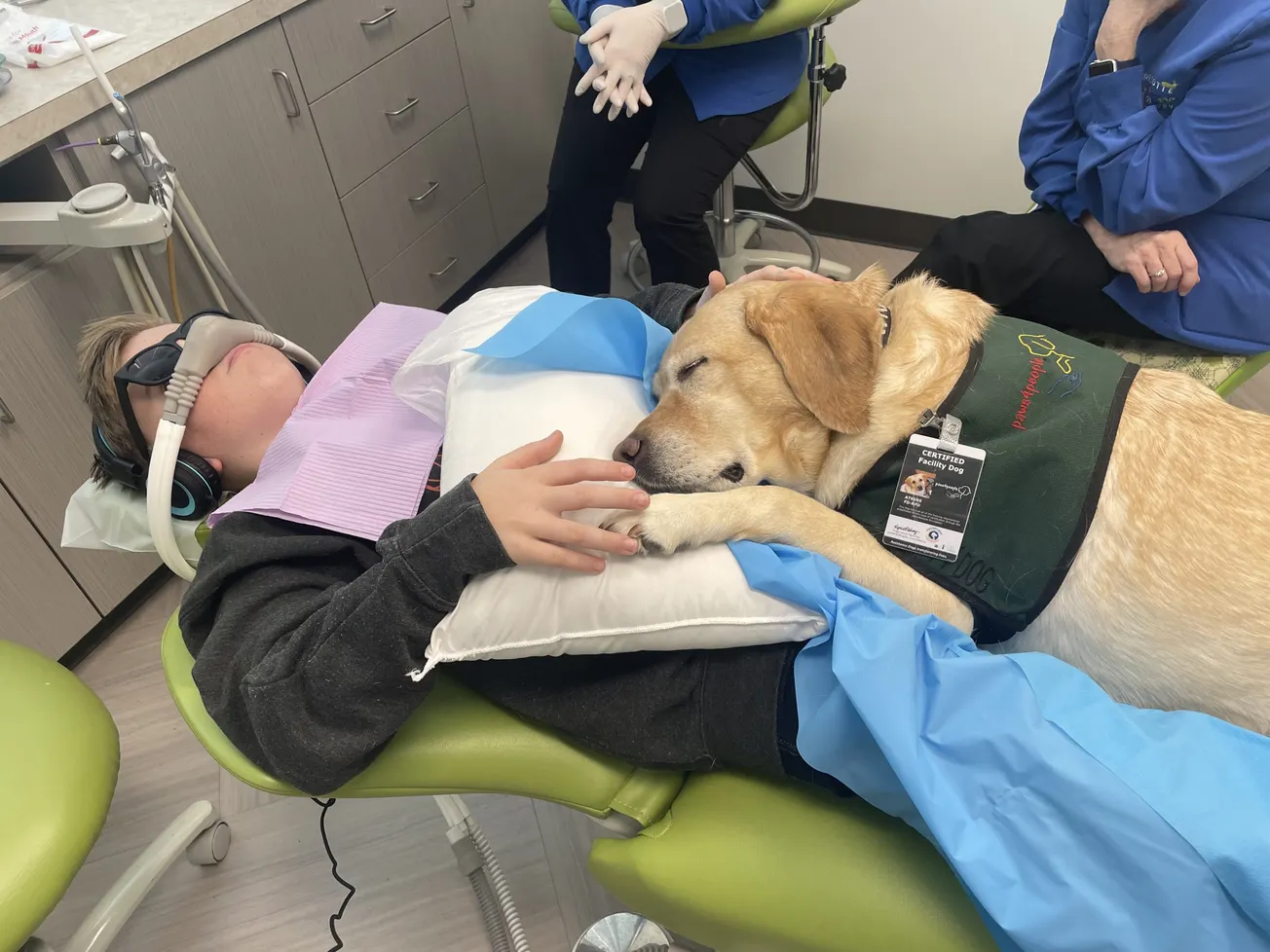 Perros ayudan a que los pacientes no sientan miedo en el dentista
