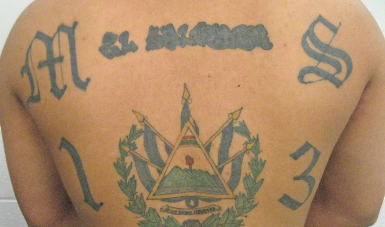 ms 13 marasalvatrucha