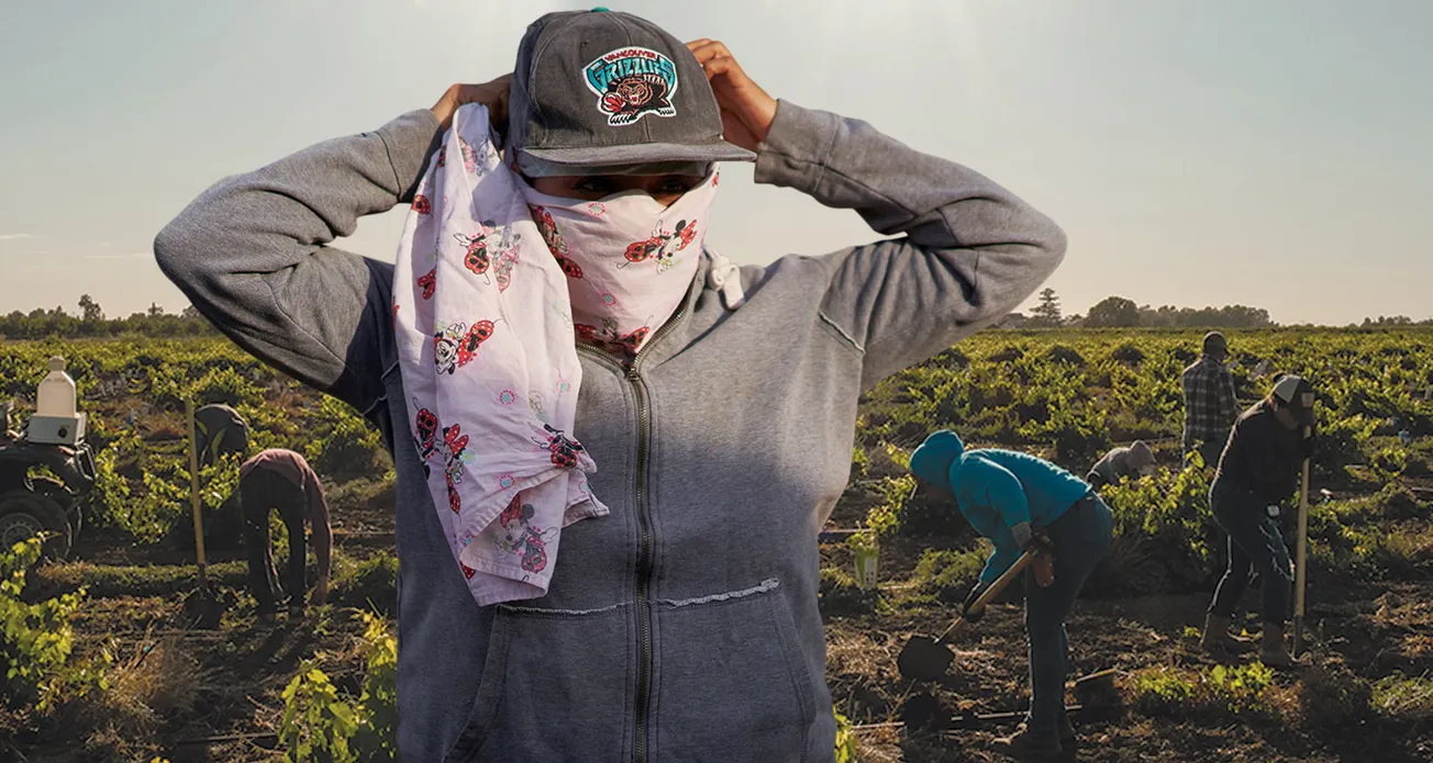 Senado prepara ley para ayudar a los migrantes y bajar los precios de los alimentos