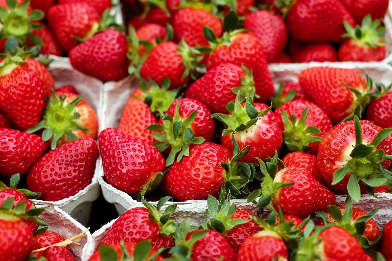Fresas orgánicas: la posible causa del brote de hepatitis A en Estados Unidos