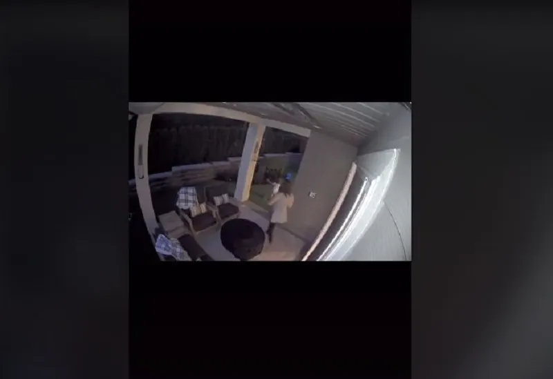 Mamá salvó a su hija de 2 años de un oso negro en Washington