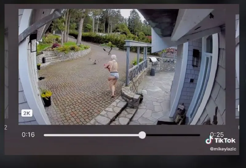 Una mujer con su bebé en brazos salvó a su ganso del ataque de un águila