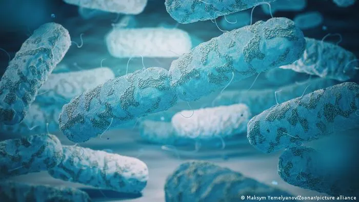 Superbacterias en Latinoamérica: "Si no actuamos, tras la multirresistencia vendrá la panresistencia”