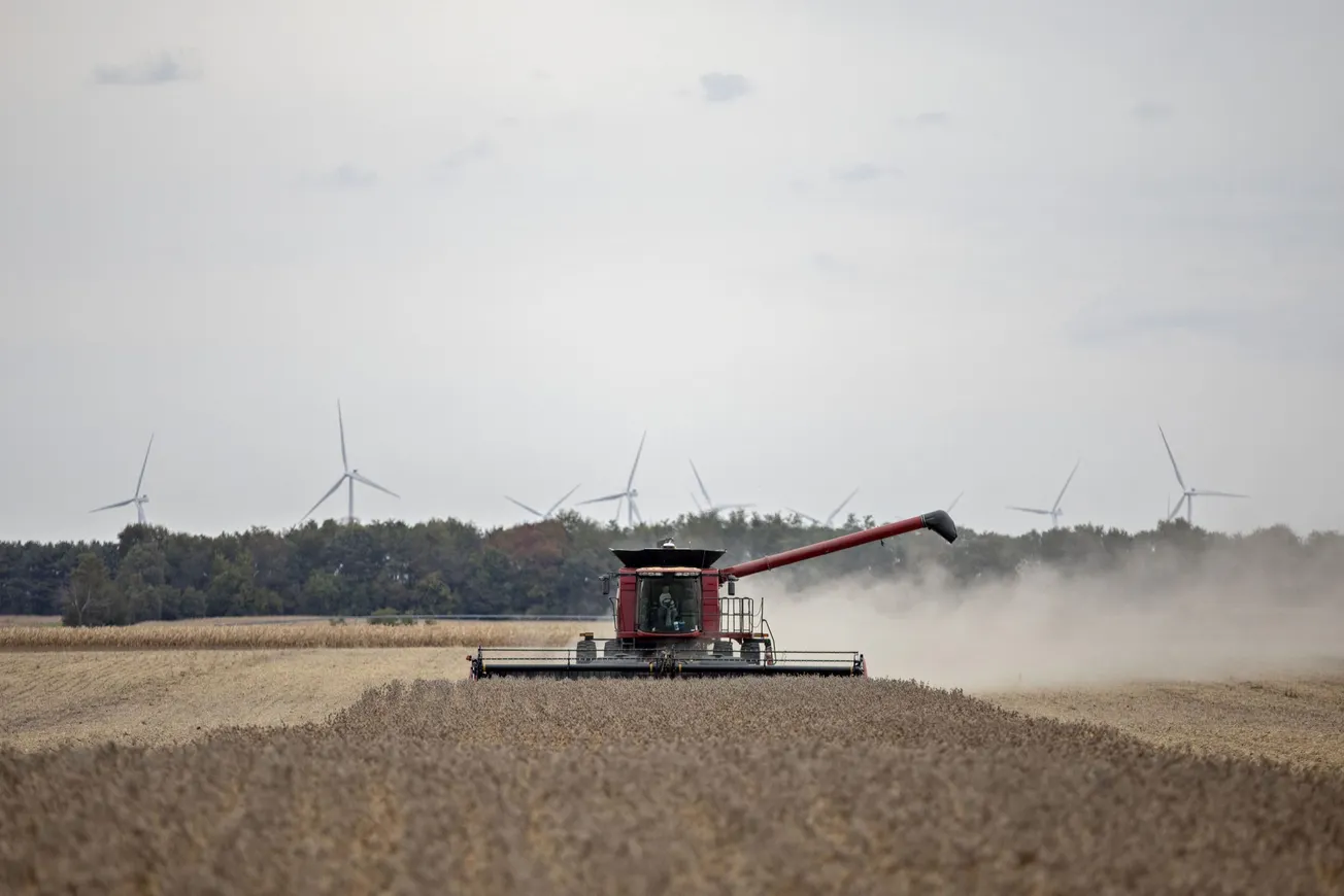 El alto costo de producir alimentos baratos