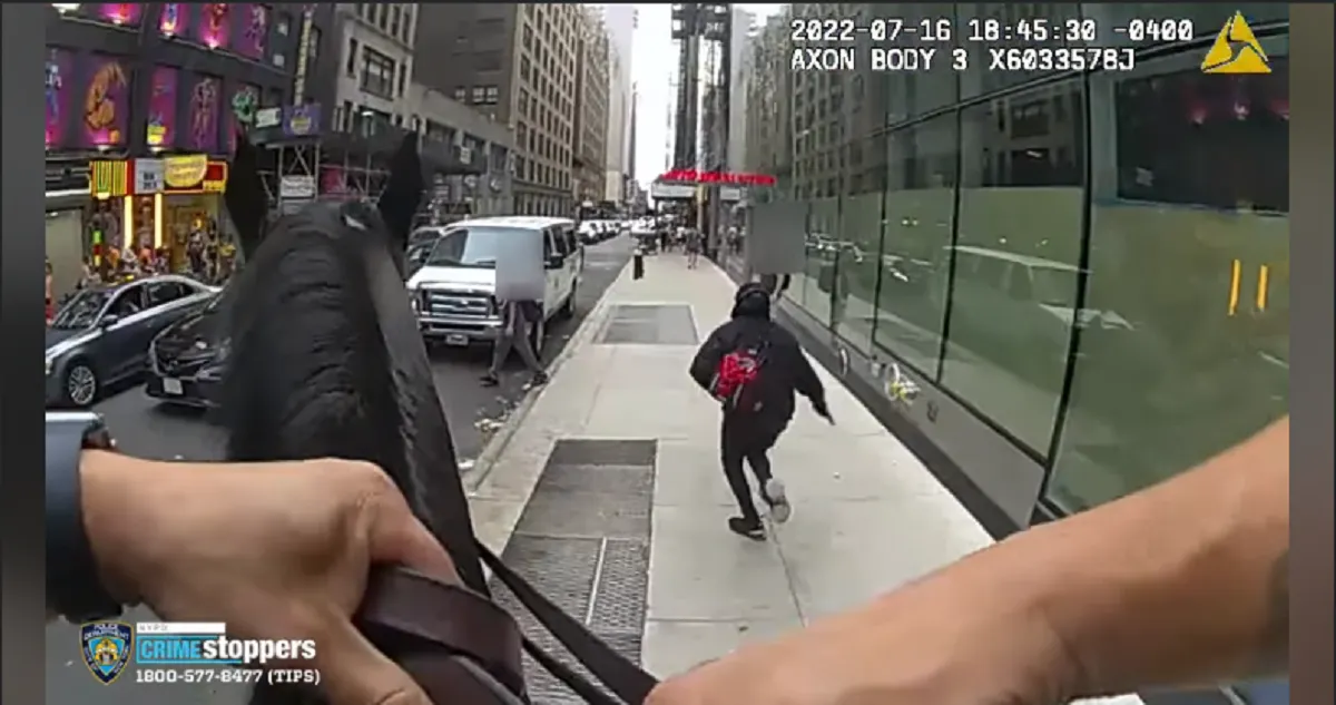 Policía persiguió a caballo a presunto ladrón por una calle de Nueva York