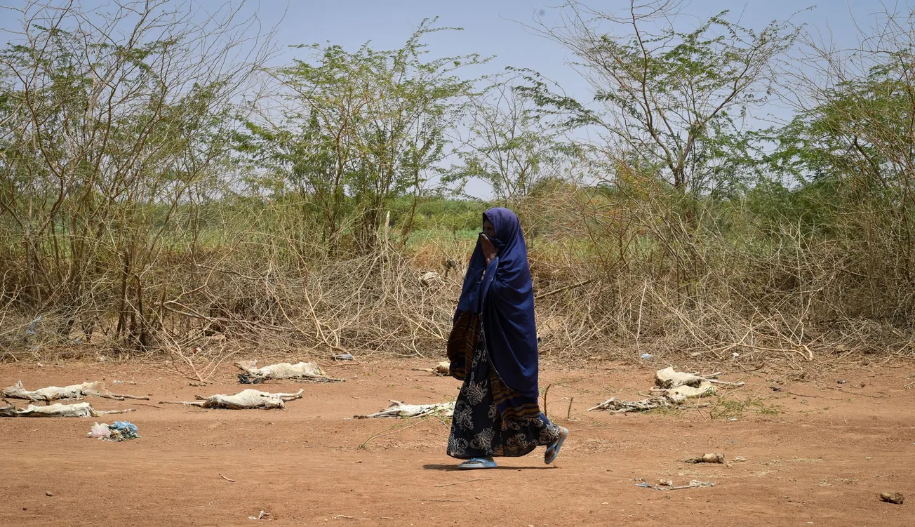 Sequía en Somalia obliga el desplazamiento de sus habitantes