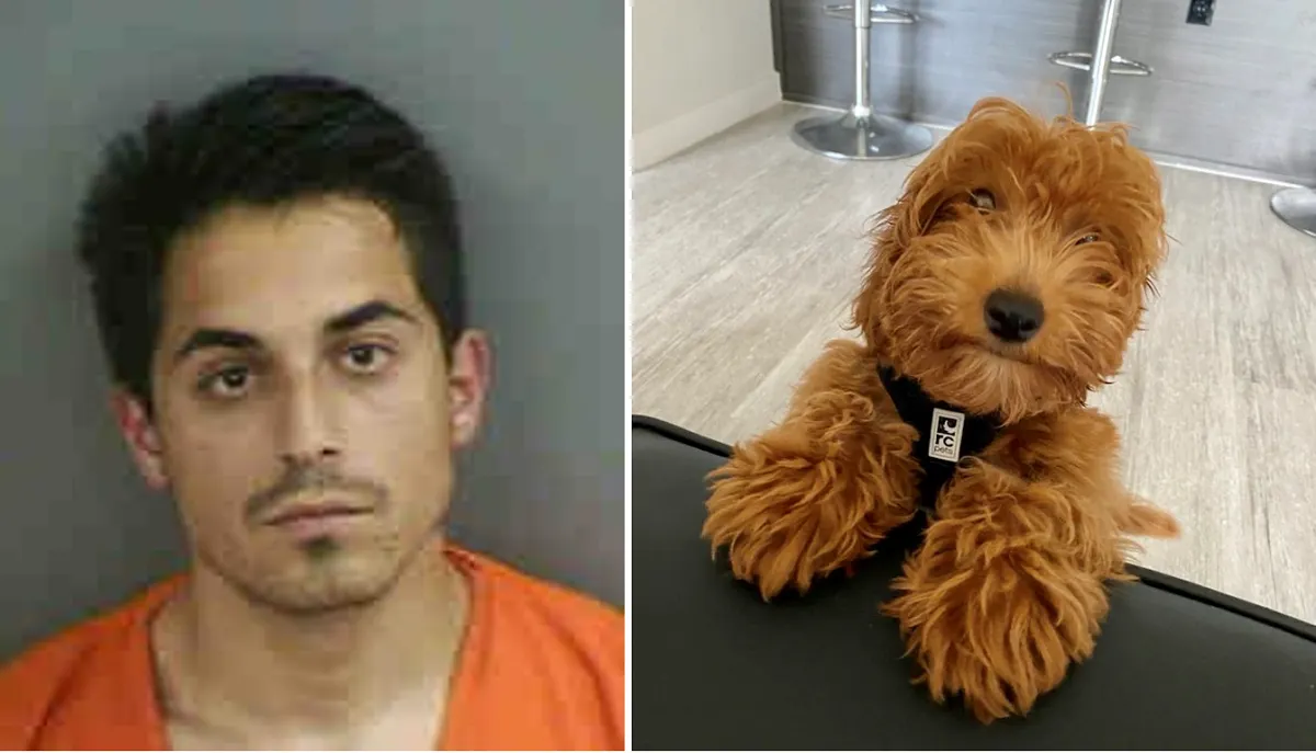 Arrestan a un hombre en Florida por matar a golpes a un perro