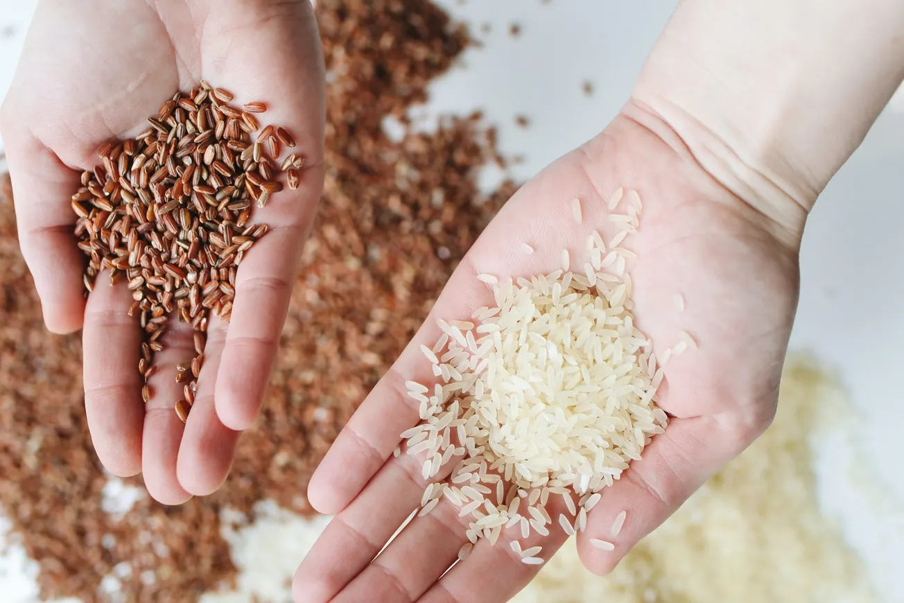 Conoce los diferentes tipos de arroz y cuál es mejor para tu salud