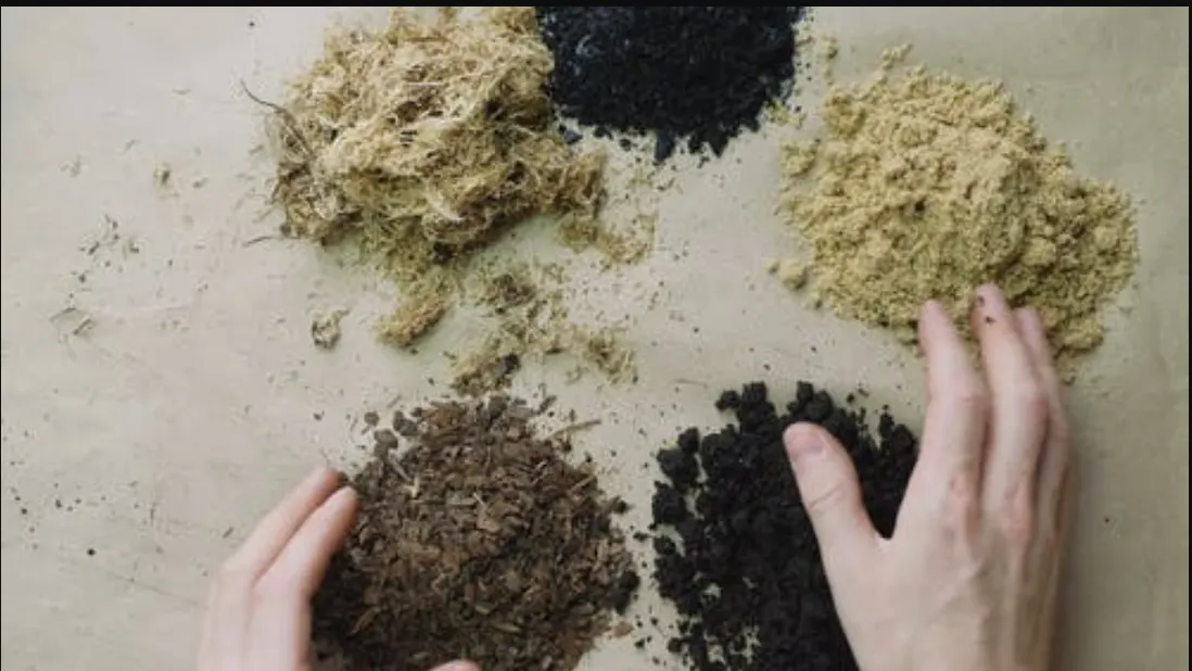 Invitan a taller virtual de compostaje casero en DC. ¡No te lo pierdas!