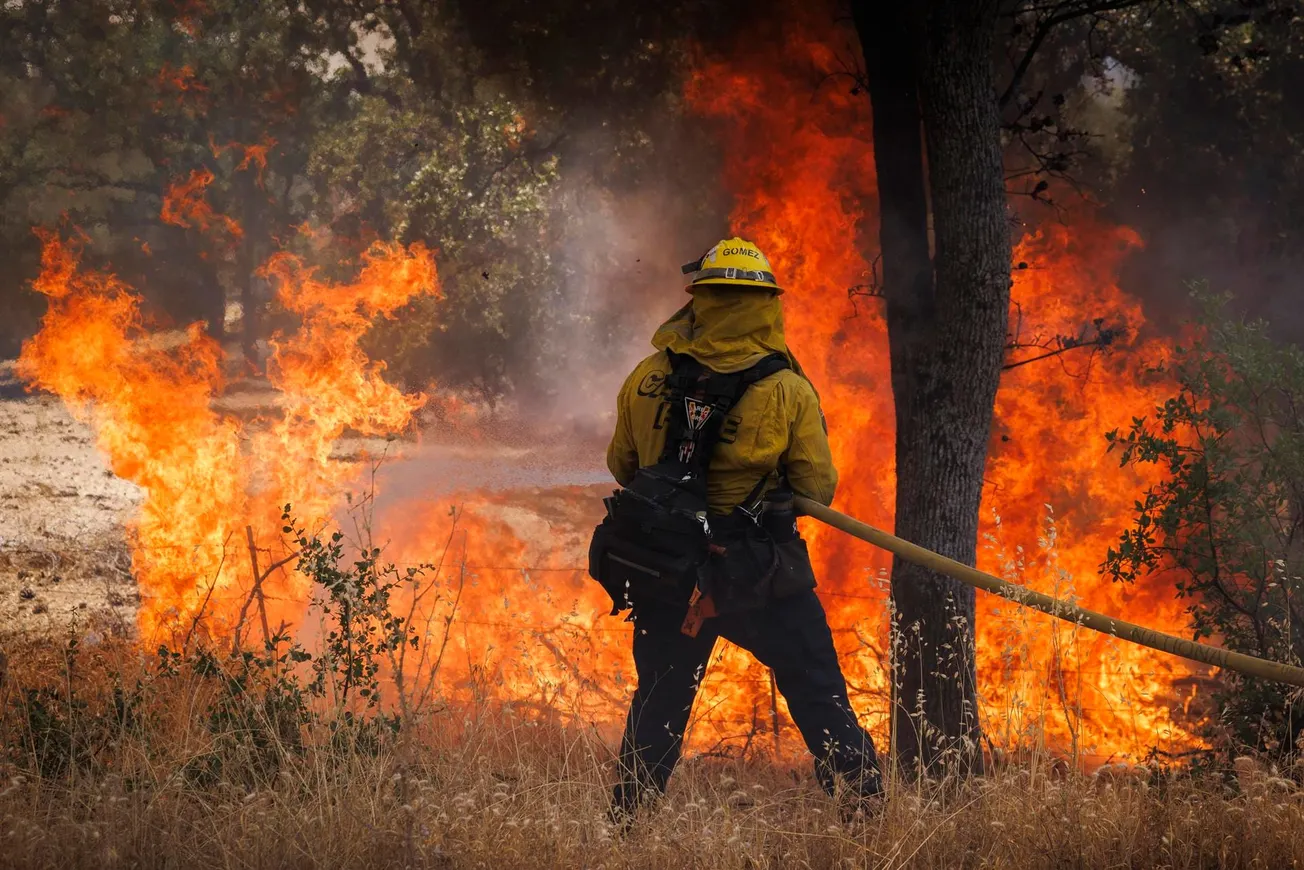 incendio forestal california