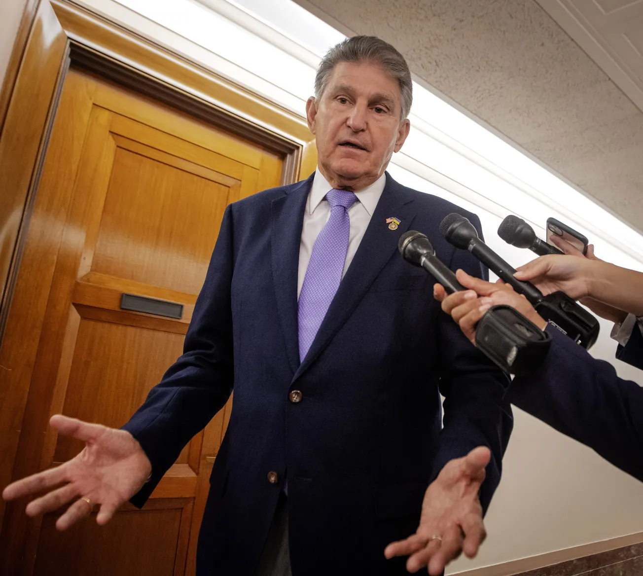 Proyecto de ley ecológica tiene beneficios a corto y largo plazo