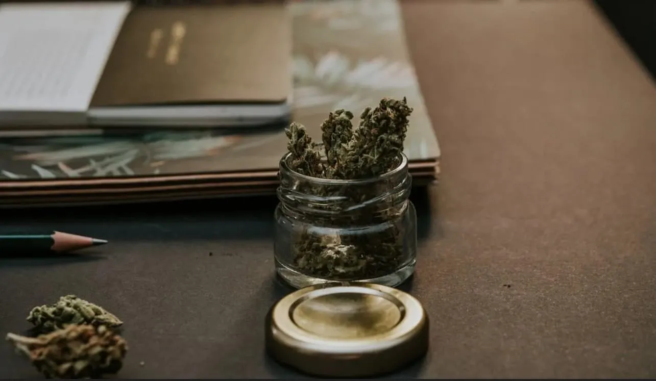 Adultos jóvenes consumieron más marihuana y alucinógenos en 2021