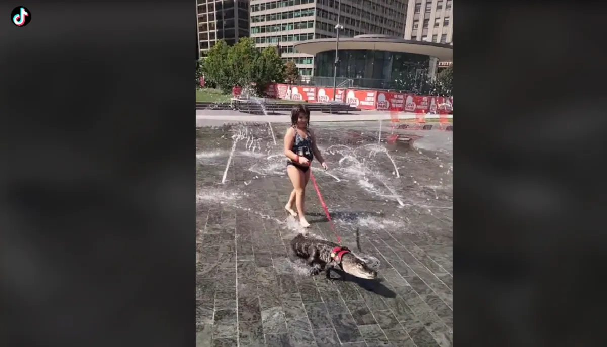 Mujer paseó con un caimán de apoyo emocional en el Love Park de Filadelfia