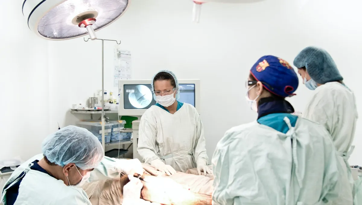 sistema de trasplantes