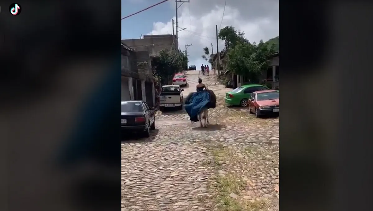 Se viraliza caballo que huye con quinceañera durante sesión de fotos