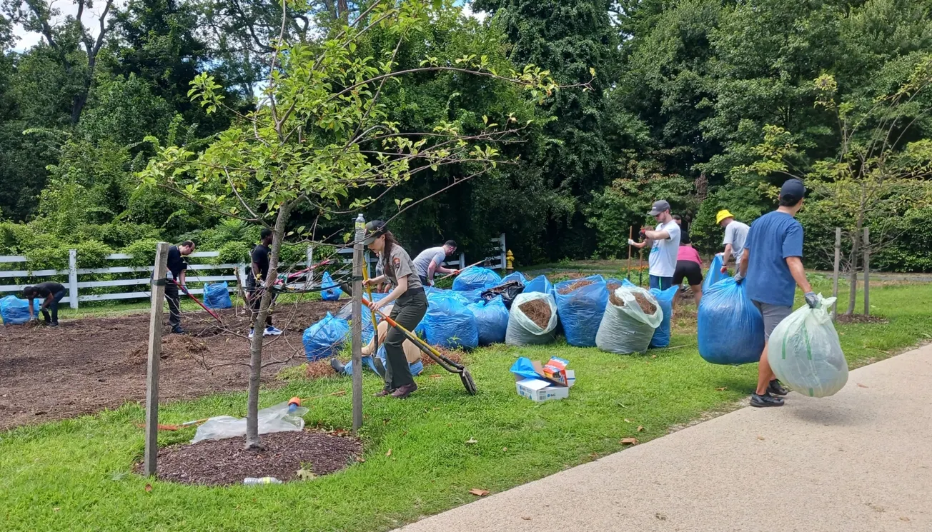 Amazon inicia su mes de voluntariado recuperando jardín de Arlington House