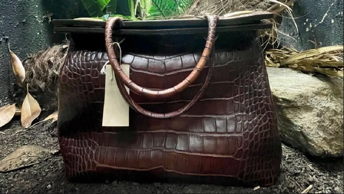 Zoológico en Londres exhibe bolso de piel de cocodrilo extinto y se viraliza