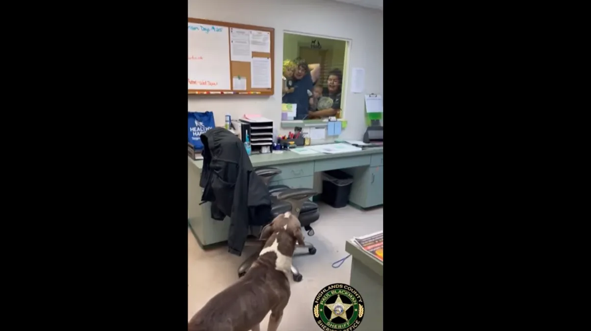 Familia de Florida se reencuentra con su perro desaparecido 10 meses después