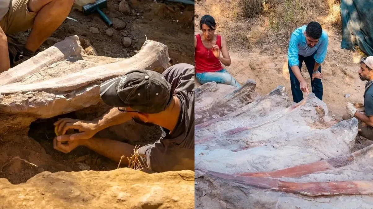 Un hombre descubre el esqueleto de un dinosaurio en el patio de su casa