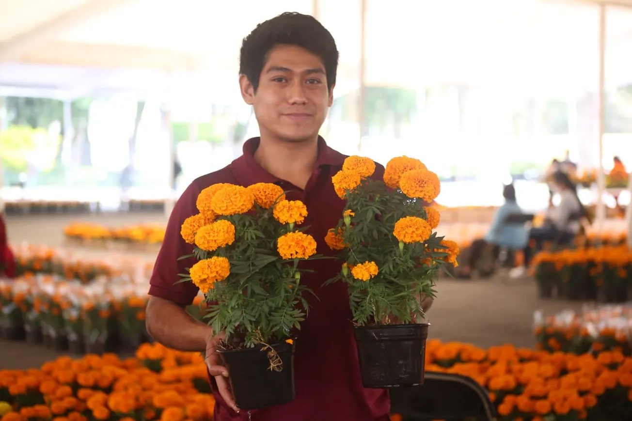 Día de Muertos: México se alista con toneladas de cempasúchil