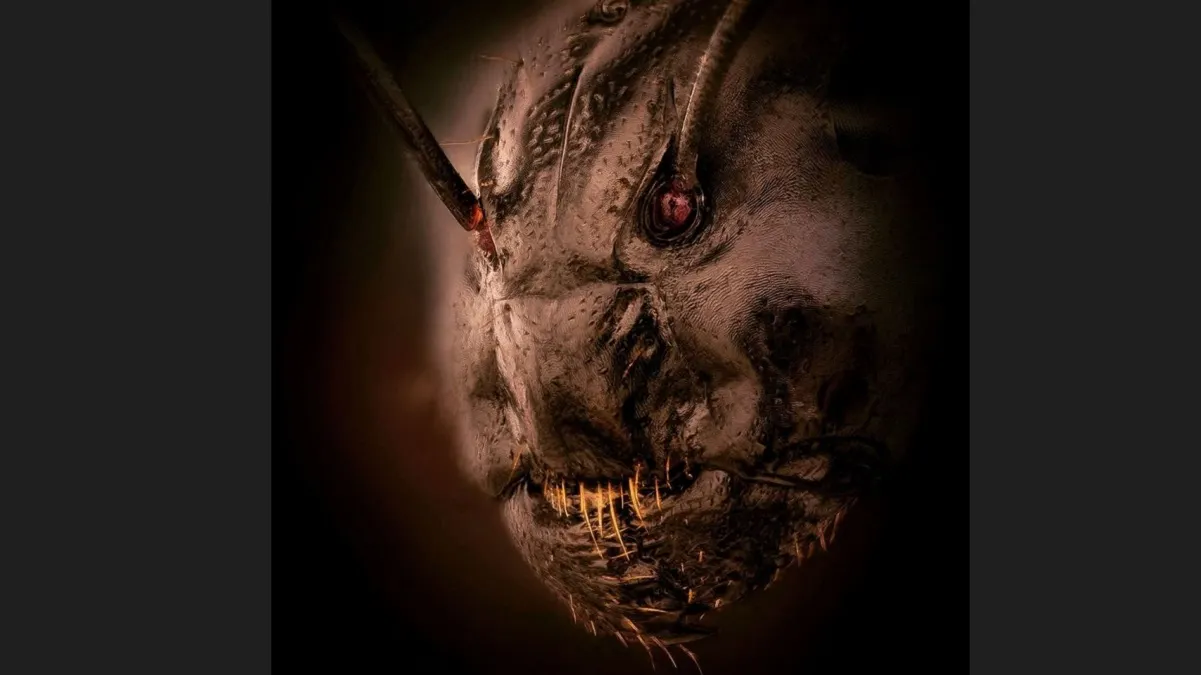 La fotografía viral en primerísimo primer plano que muestra la cara de una hormiga