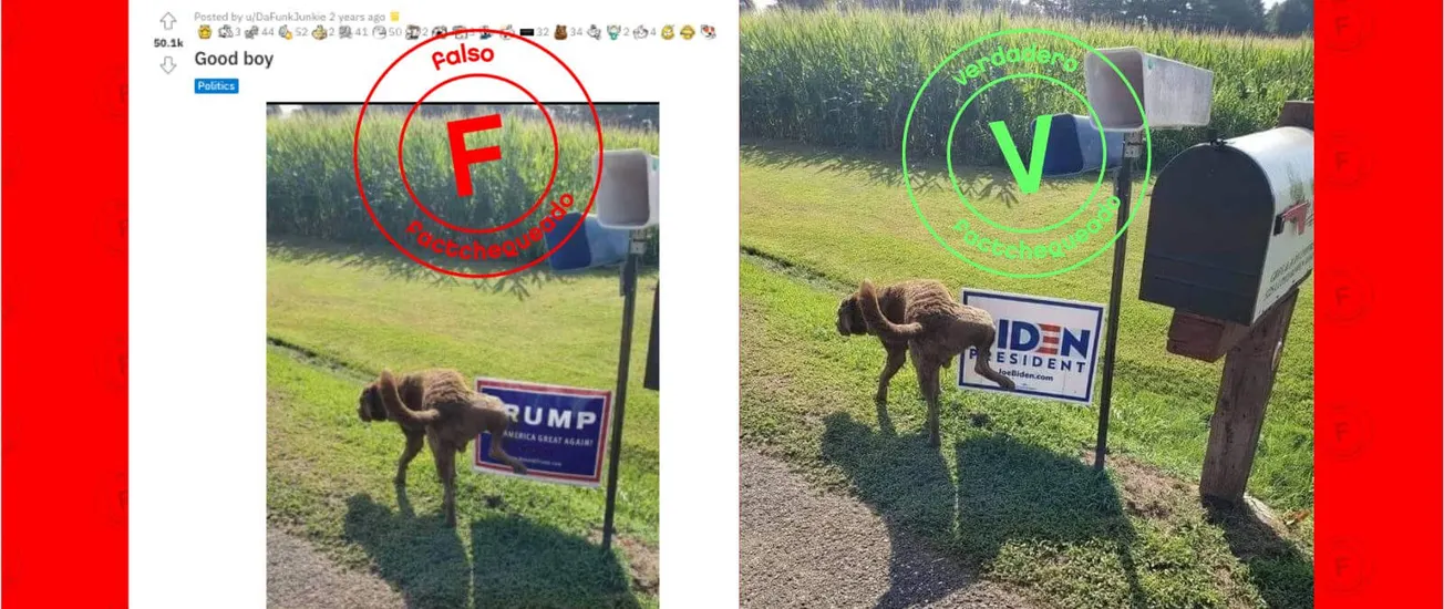 perro orinando trump