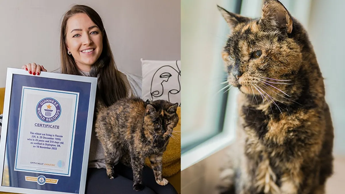 Flossie, es nombrada por el Libro Guinness de los Récords como la gata más vieja del mundo