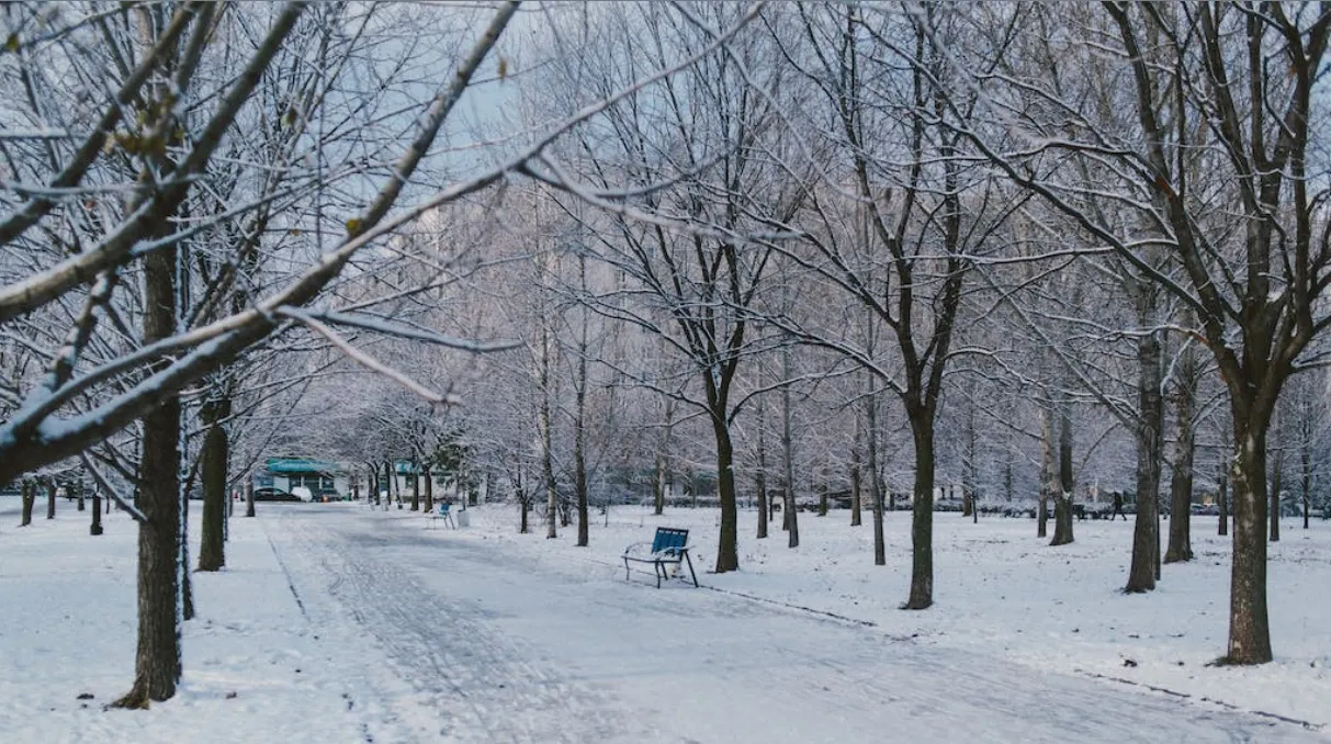 ¿Viste el pronóstico de tormentas de nieve de efecto lago? Te explicamos qué son