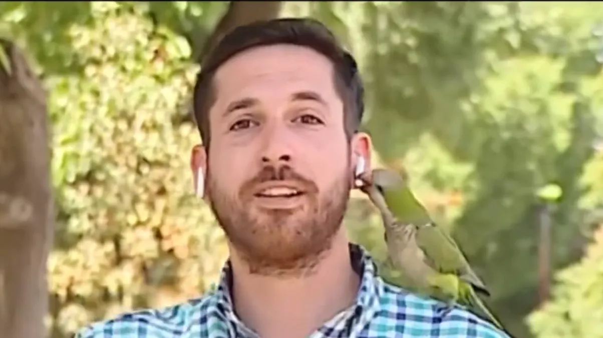 Periodista hablaba de inseguridad y un loro le robó el audífono en una transmisión en vivo