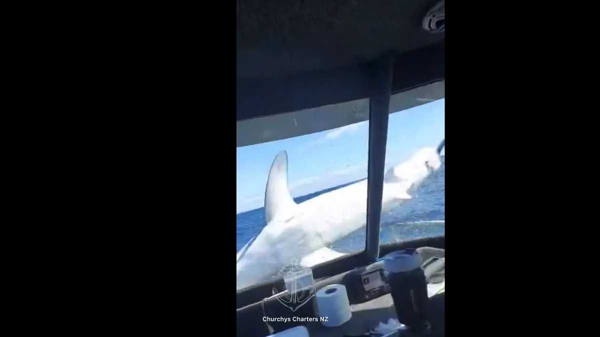 Un tiburón saltó a la proa de un barco y el hecho quedó grabado