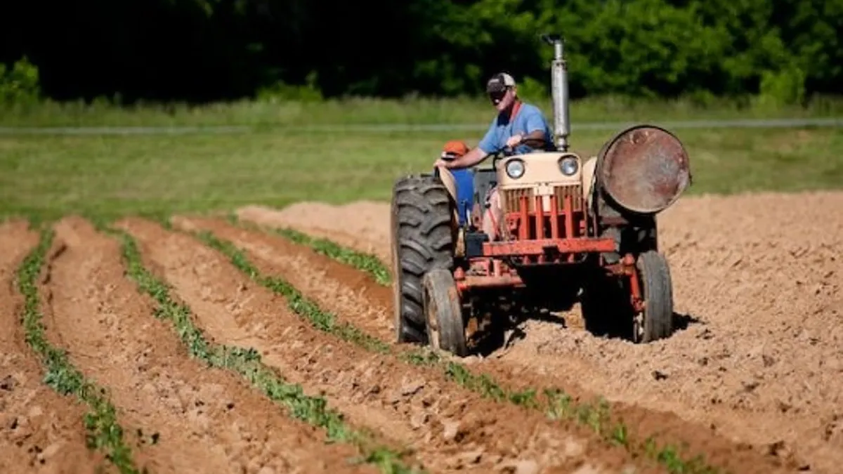Podcast Salud: Latinos que trabajan en agricultura y recolección son más propensos a sufrir accidentes laborales