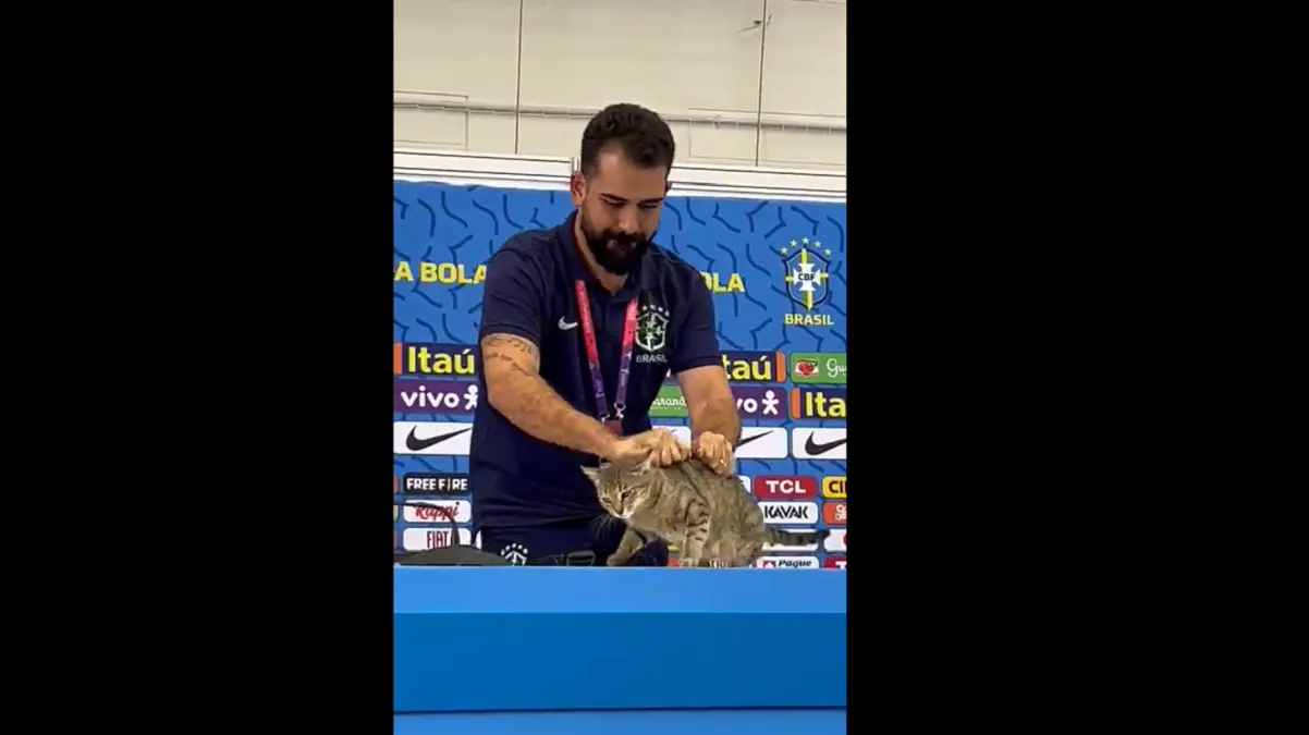Demandan a la selección de Brasil por la acción contra un gato durante rueda de prensa