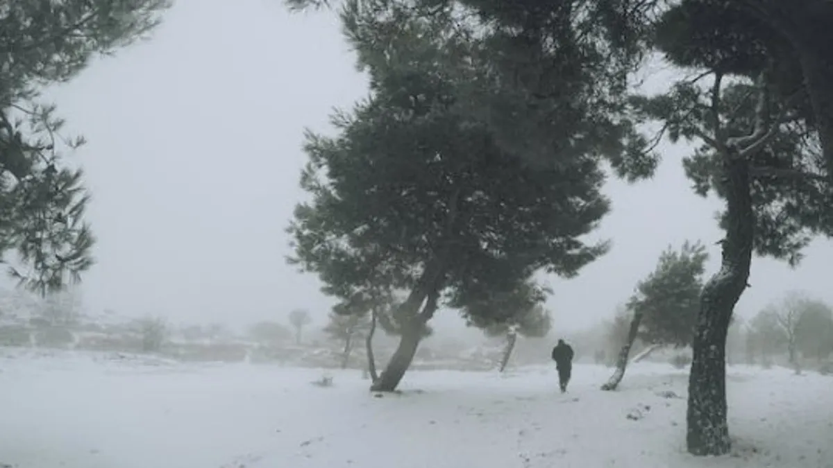 Colorado: Migrantes siguen llegando a Denver pese a la ola de frío