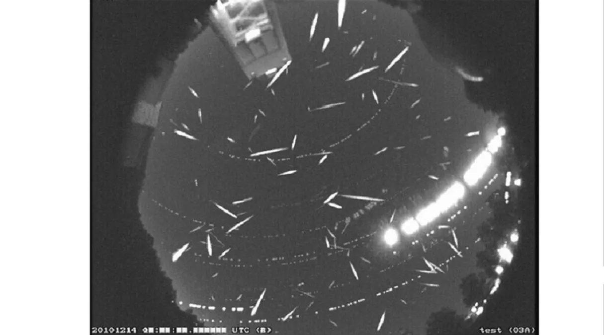 Gemínidas, la lluvia de estrellas más intensas del año