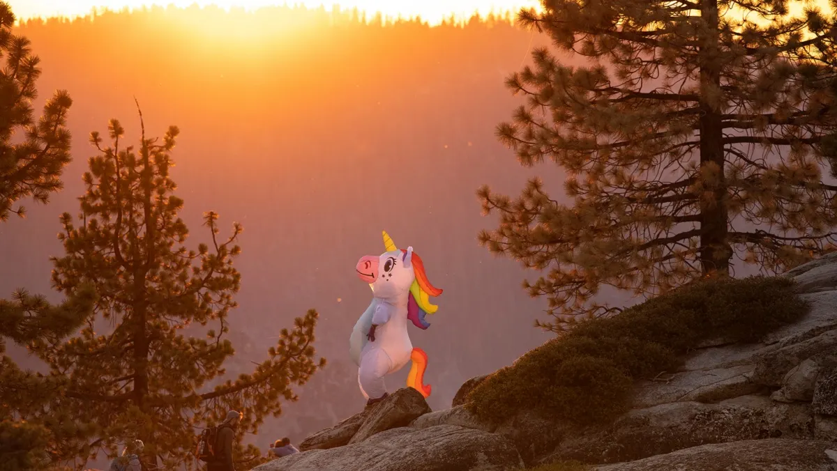 Niña pidió permiso para tener un unicornio como mascota y el condado de Los Ángeles se lo concedió