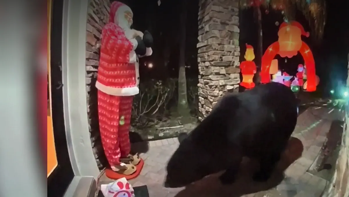Un oso negro se robó la comida que un hombre pidió a domicilio en Florida