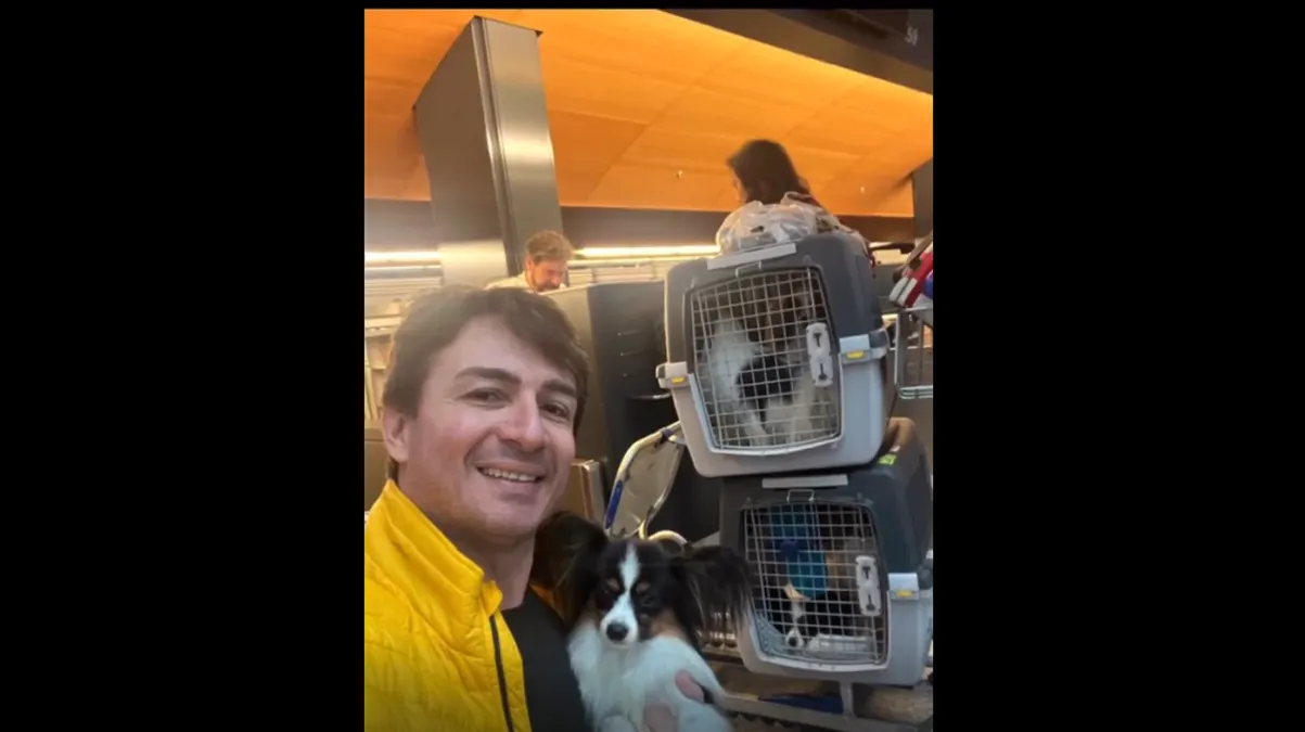 Aerolínea pierde a cuatro perritos de un pasajero y esta fue la reacción del hombre