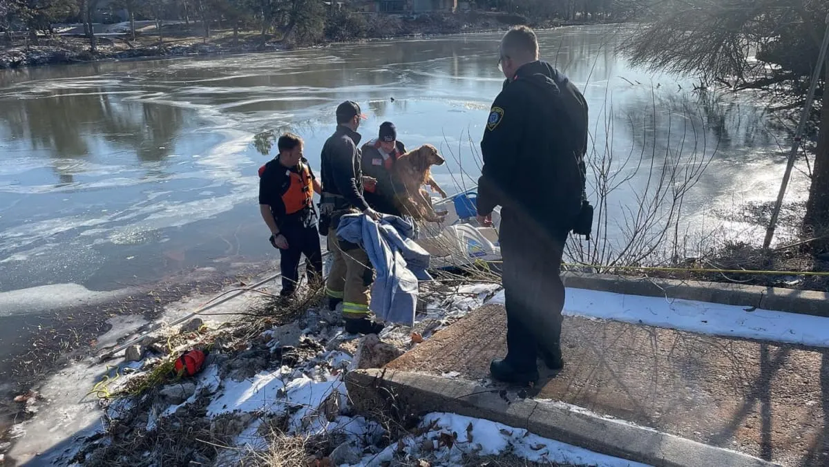Así rescataron a un Golden Retriever que cayó en un lago congelado en Oklahoma