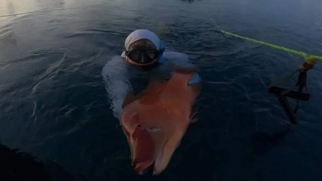 Un buzo logró salvar su vida tras tres horas a la deriva en los Cayos de Florida