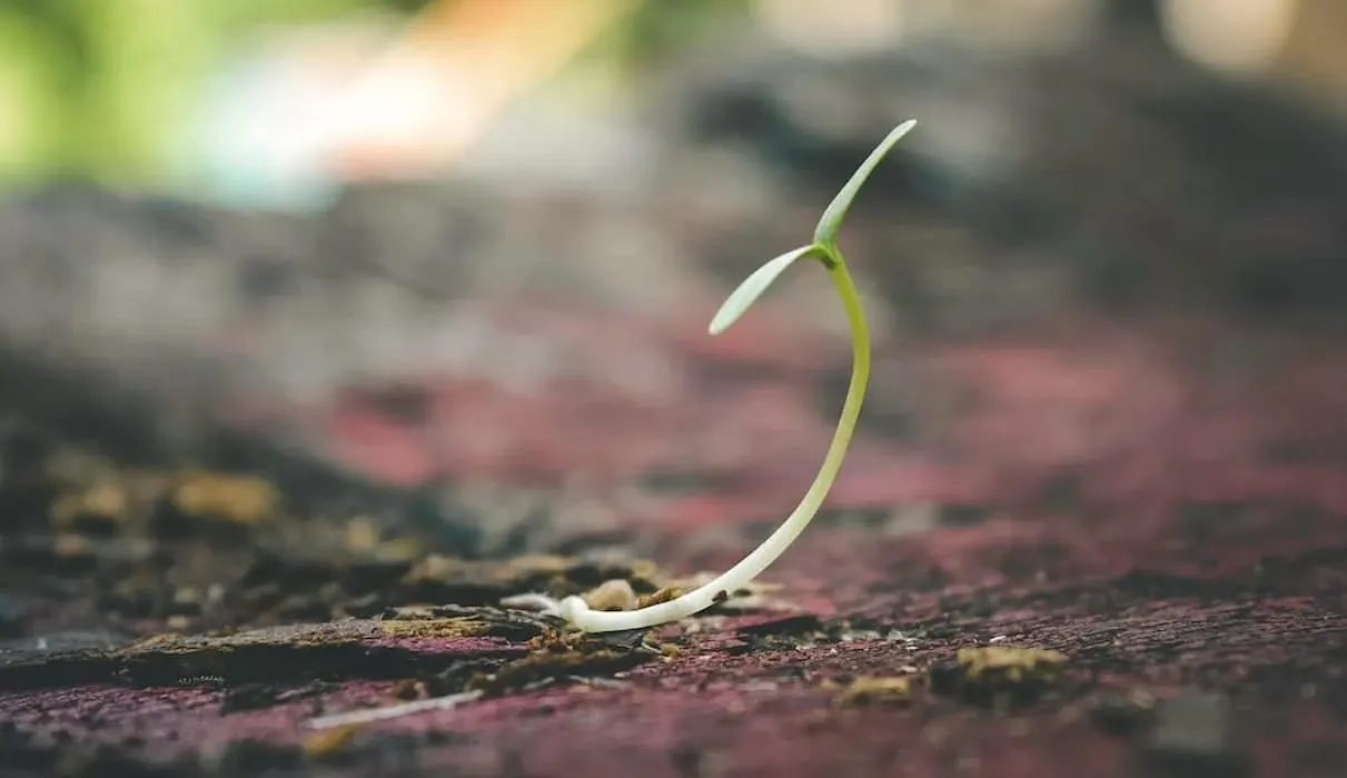 Para crecer, hay que saber dar y recibir