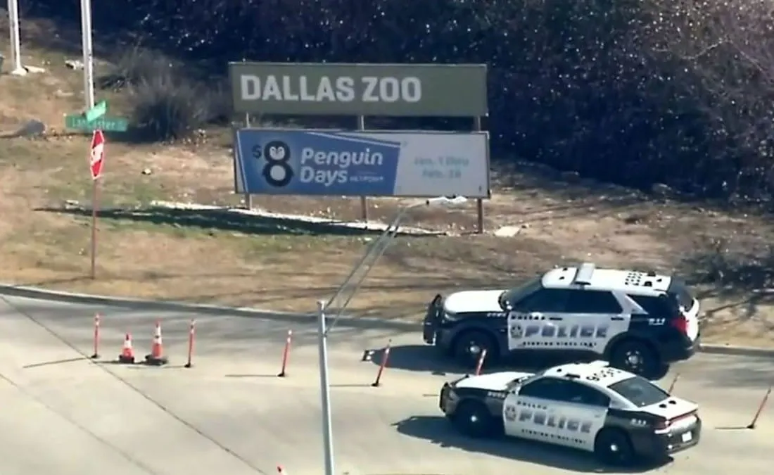 La desaparición de un leopardo nublado provocó el cierre del zoológico de Dallas