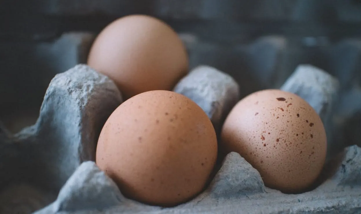 escasez de huevos en Estados Unidos