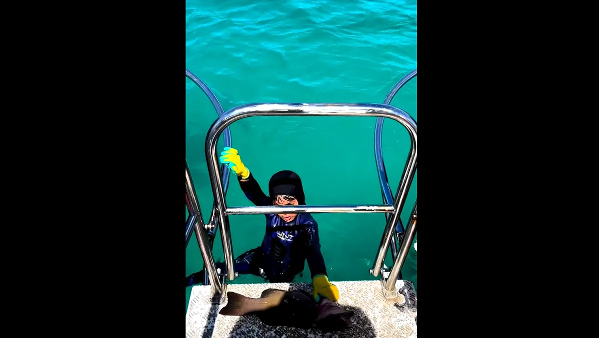 Graban momento en el que tiburón atacó a un niño