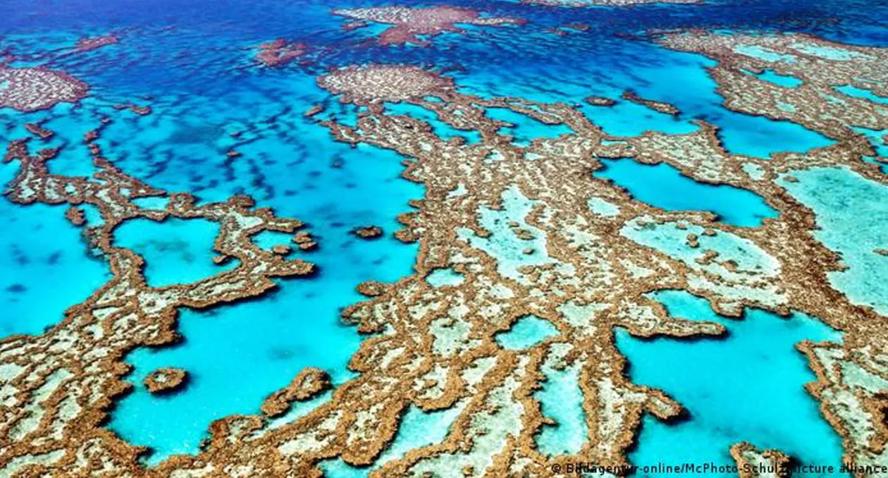 El Tratado Global de los Océanos busca proteger las aguas internacionales