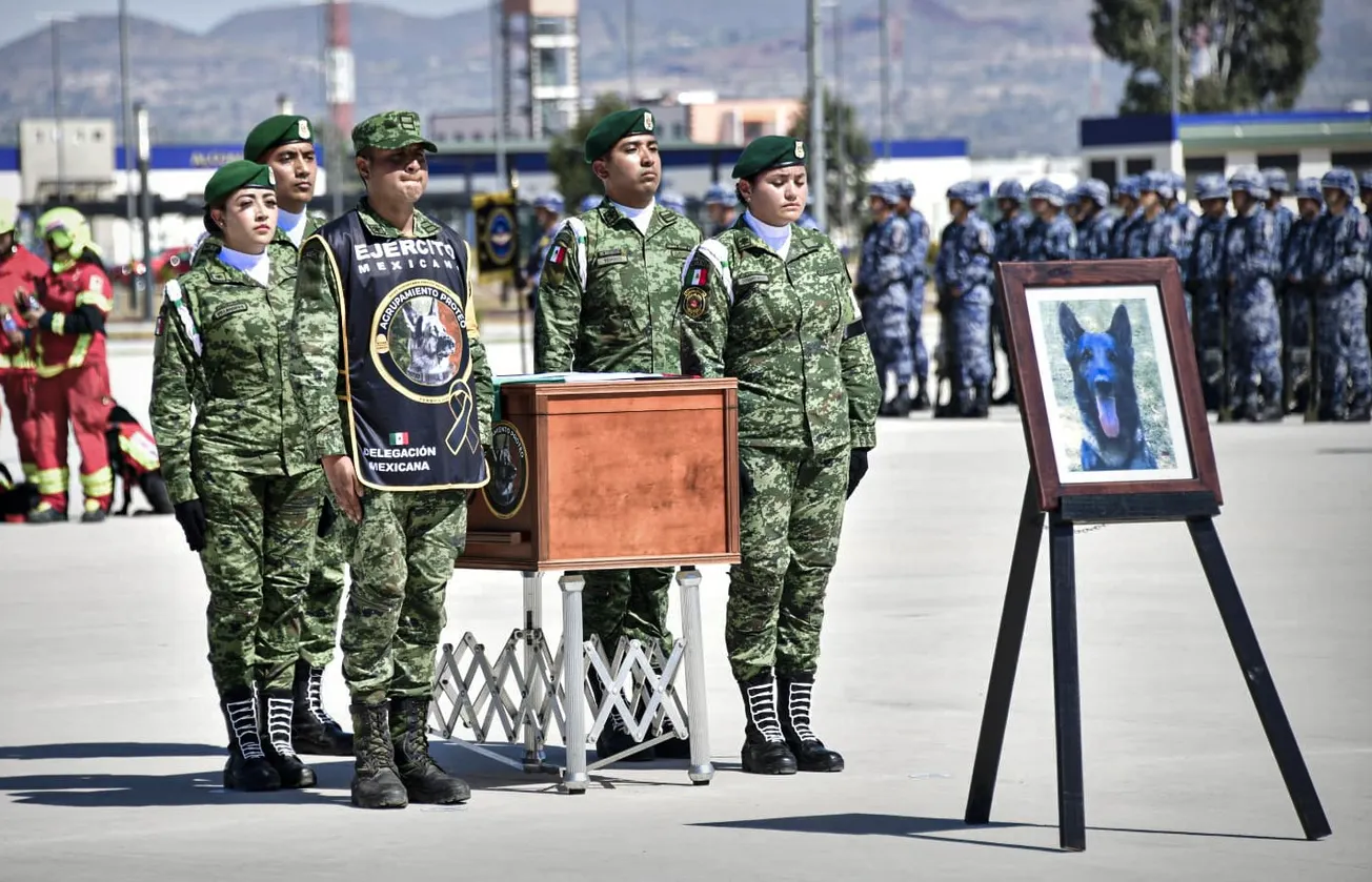 Despedida a Proteo en México
