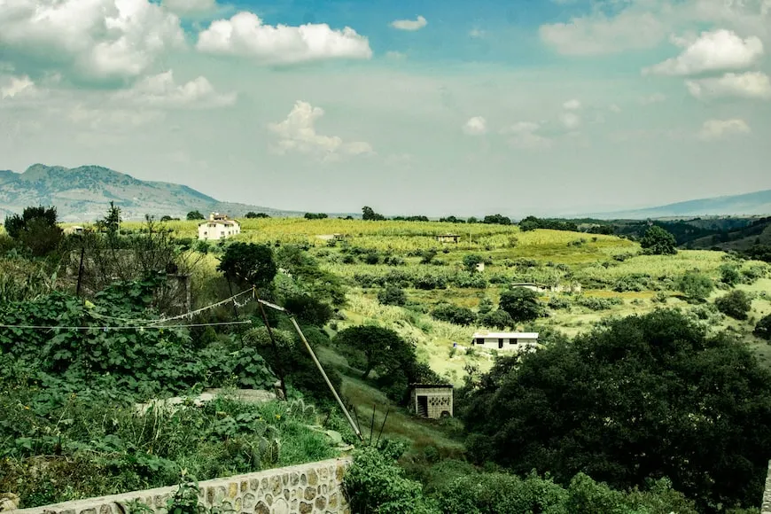 Hallan restos humanos en una casa en México